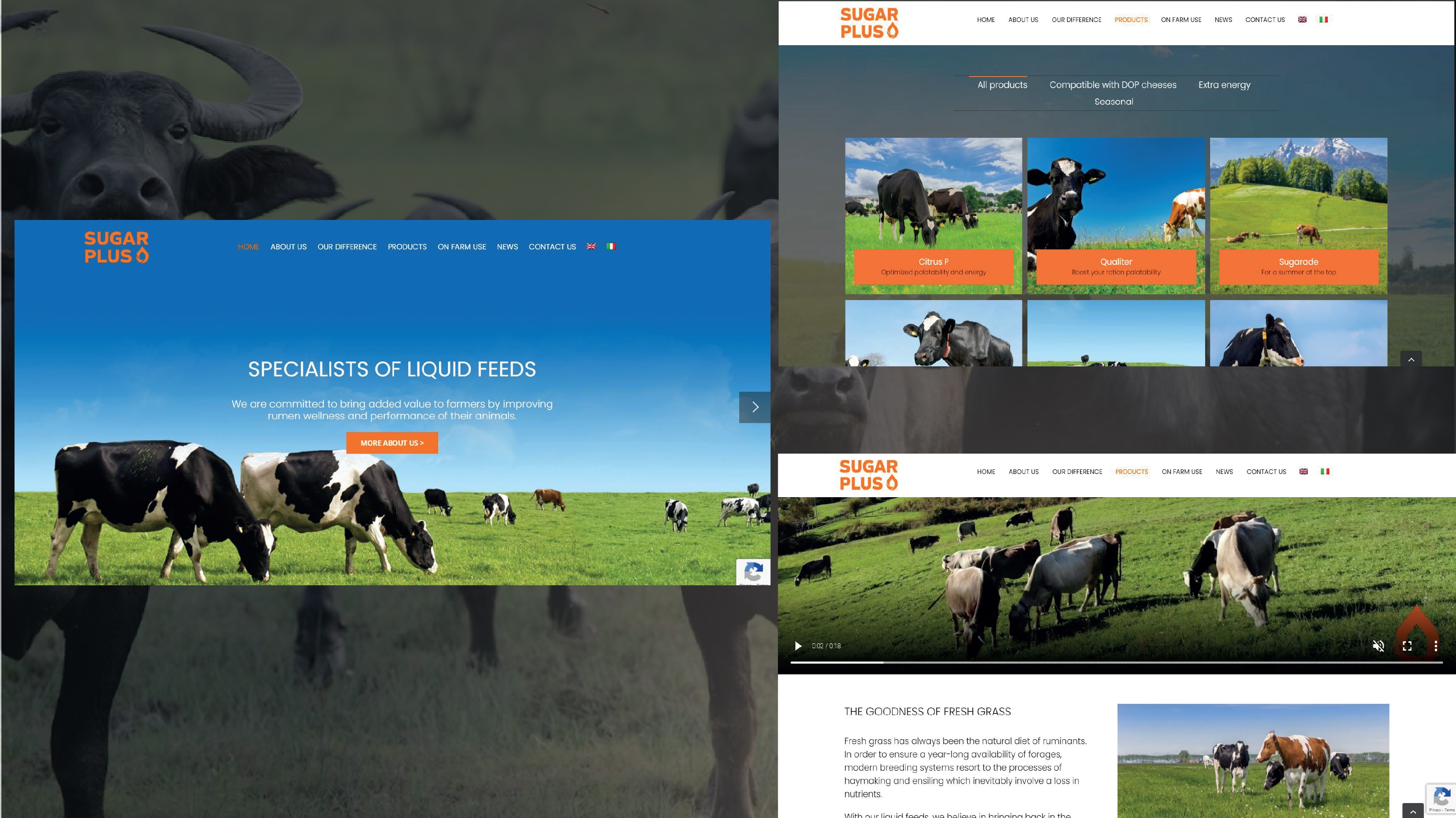 Gradient with shades of orange